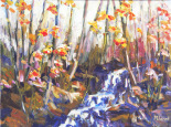 Woodland Shadows