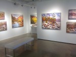 Exhibition at Koyman Galleries
